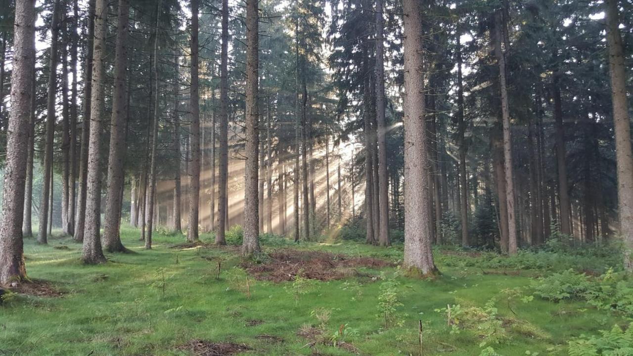 Schwarzwald Geht Immer Fewo 60 Qm Mit Grossem Suedbalkon, Wlan Und Magenta Tv Schönwald Exterior photo