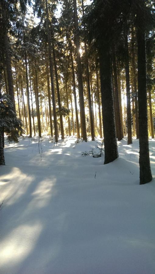 Schwarzwald Geht Immer Fewo 60 Qm Mit Grossem Suedbalkon, Wlan Und Magenta Tv Schönwald Exterior photo